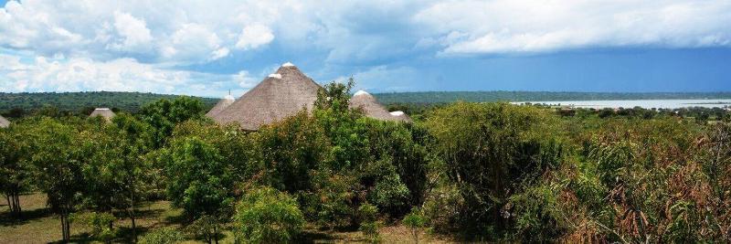 Forest Hog Safari Lodge