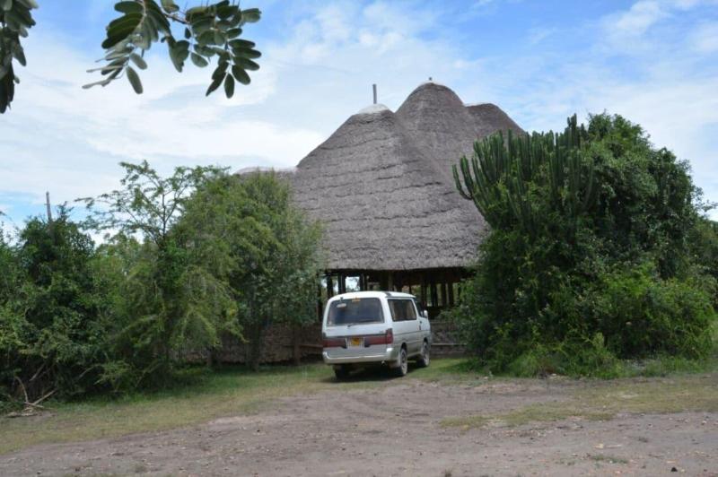 Forest Hog Safari Lodge