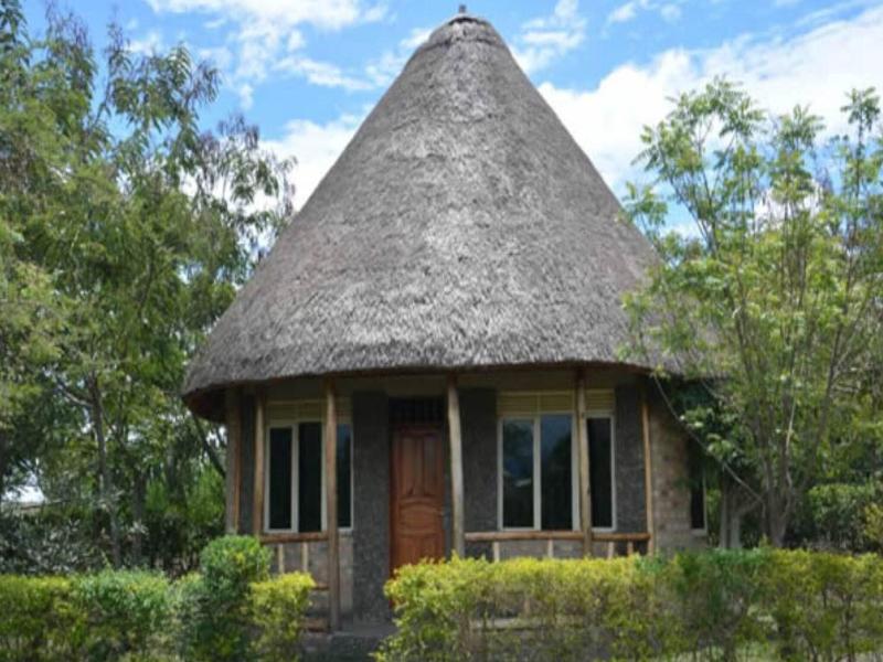 Forest Hog Safari Lodge