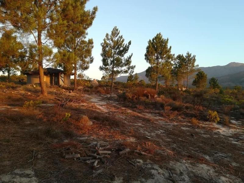 Avani Lodge Private Nature Reserve image