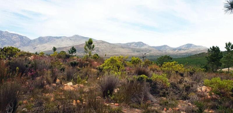 Avani Lodge Private Nature Reserve image