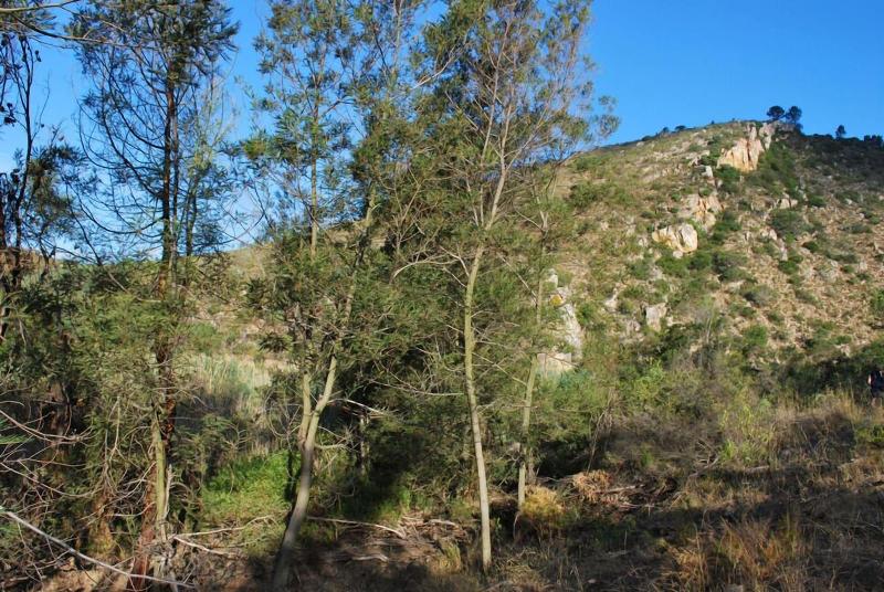 Avani Lodge Private Nature Reserve image