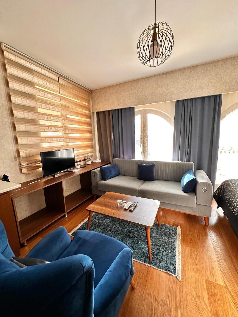 Sabiha Gokcen Hotel Istanbul Houses image