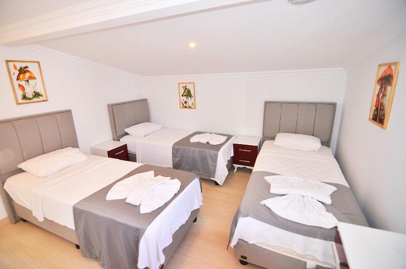 Mykonut Apart Hotel image