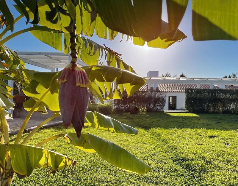 Herdade Do Kuanza image