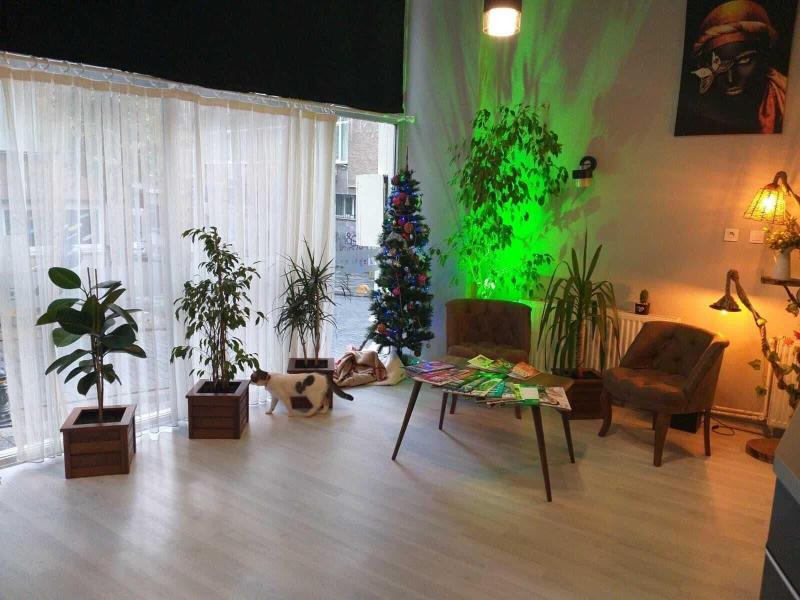 Zion Home Butik Otel image