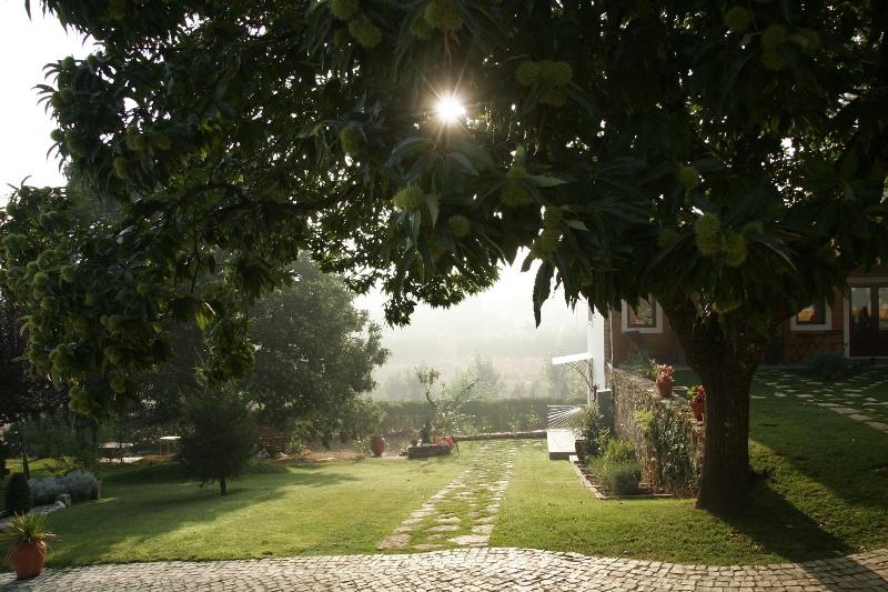 Vila Dos Castanheiros image