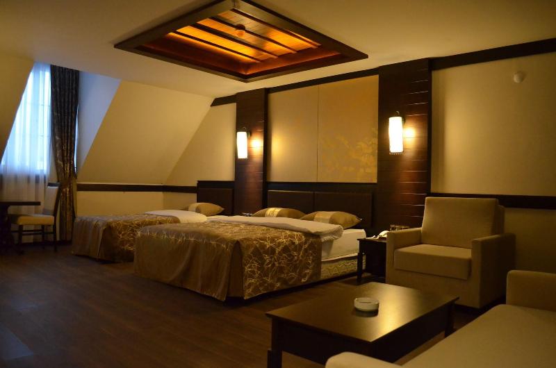 Sarikamis White Park Hotel image