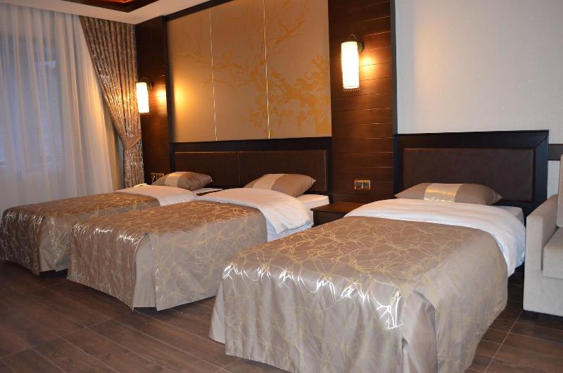Sarikamis White Park Hotel image