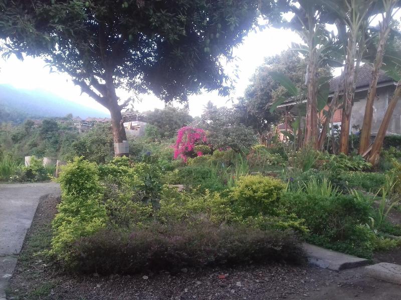 Pondok Guru Bakti Cottages