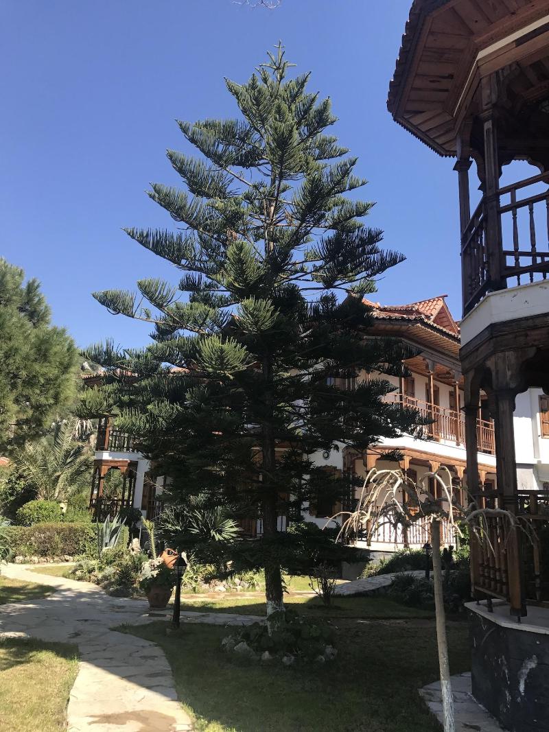 Asur Hotel & Aparts & Villas image