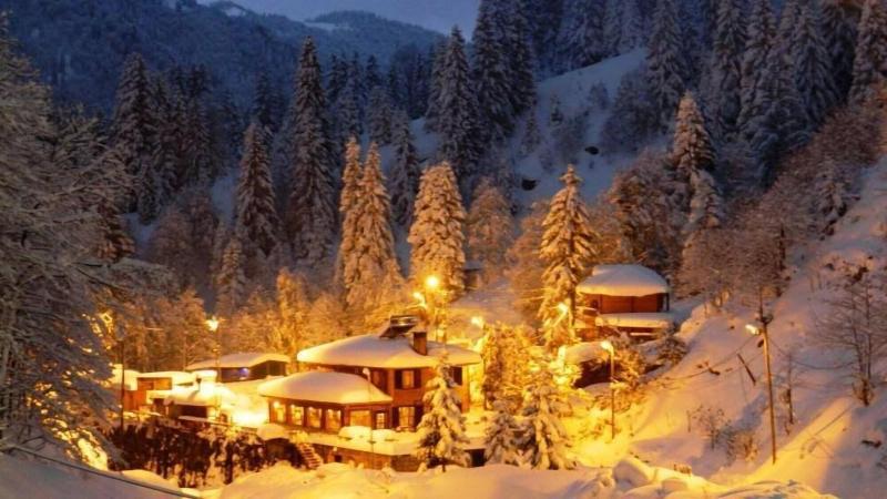 Ayder Avusor Butik Otel image