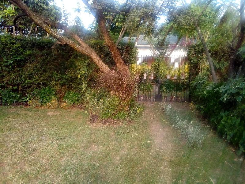 Ose Cottages image