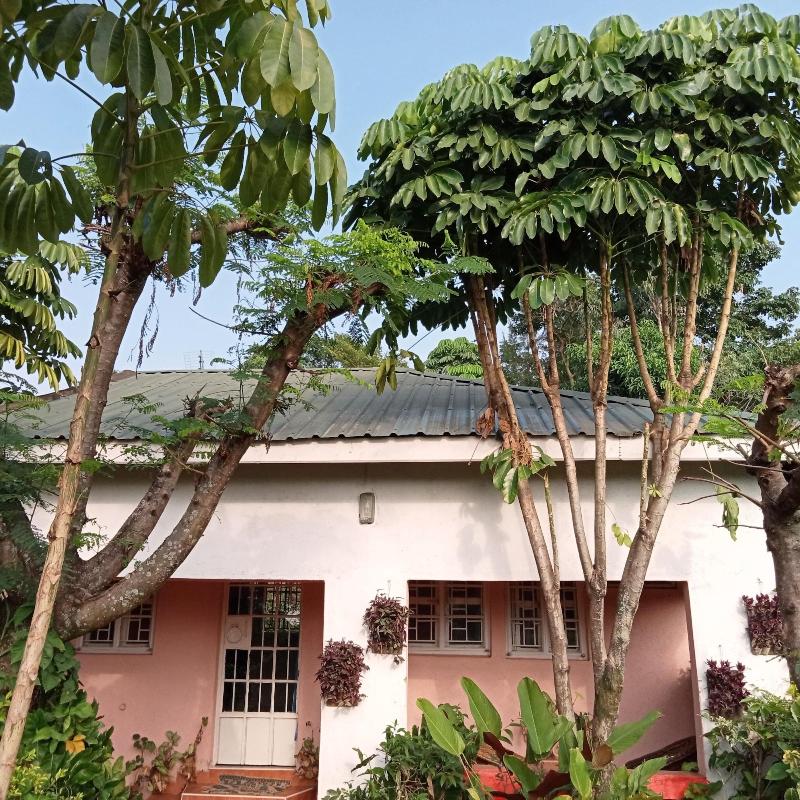 Ose Cottages image