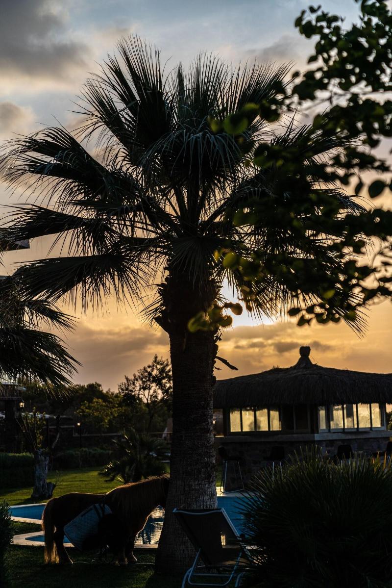 Assos Alis Farm Boutique Hotel & Spa image