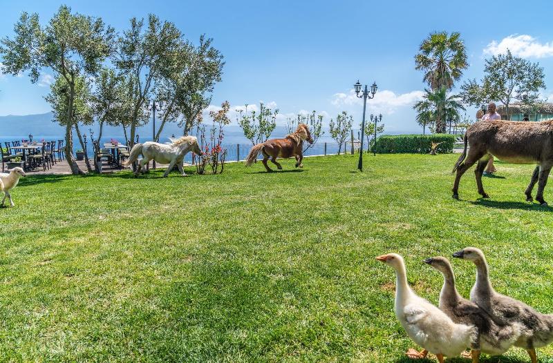 Assos Alis Farm Boutique Hotel & Spa image