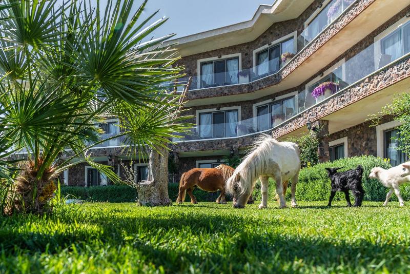 Assos Alis Farm Boutique Hotel & Spa image