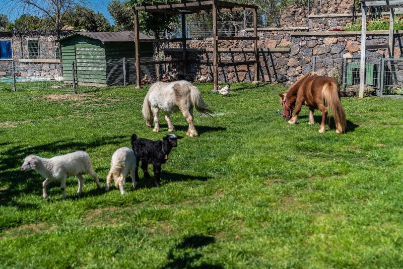 Assos Alis Farm Boutique Hotel & Spa image