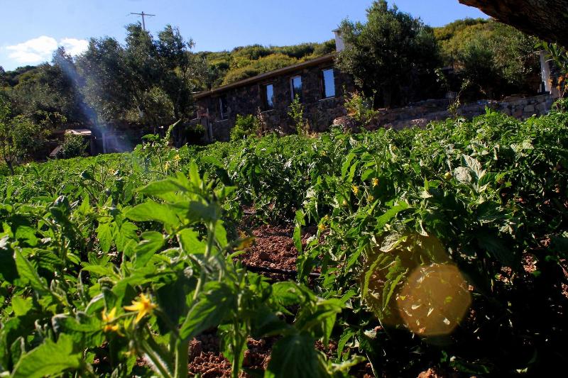 Assos Alis Farm Boutique Hotel & Spa image