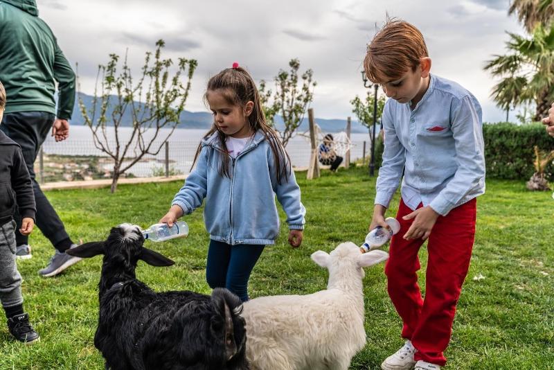 Assos Alis Farm Boutique Hotel & Spa image