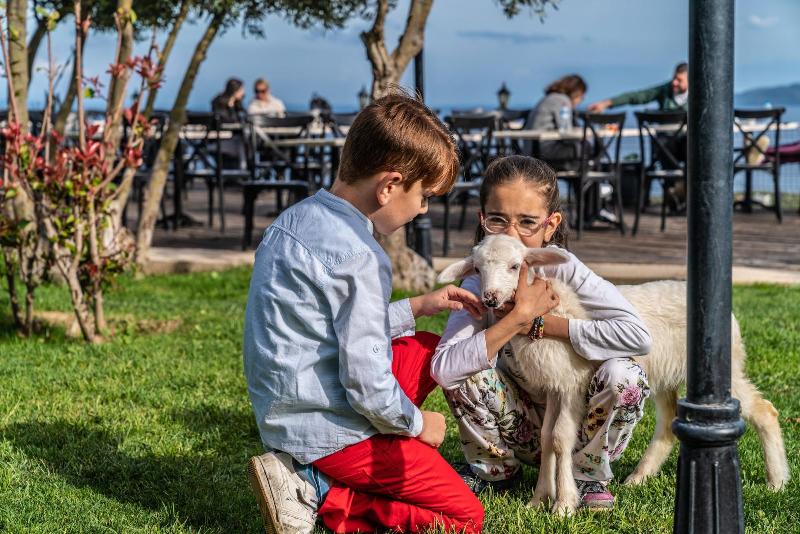 Assos Alis Farm Boutique Hotel & Spa image