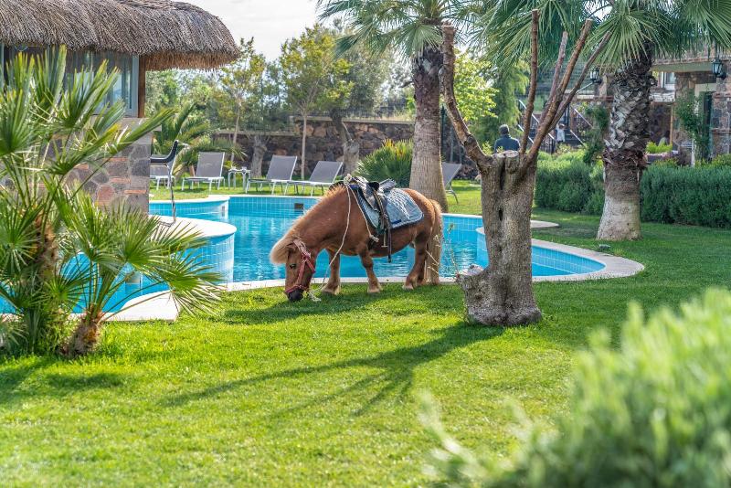 Assos Alis Farm Boutique Hotel & Spa image