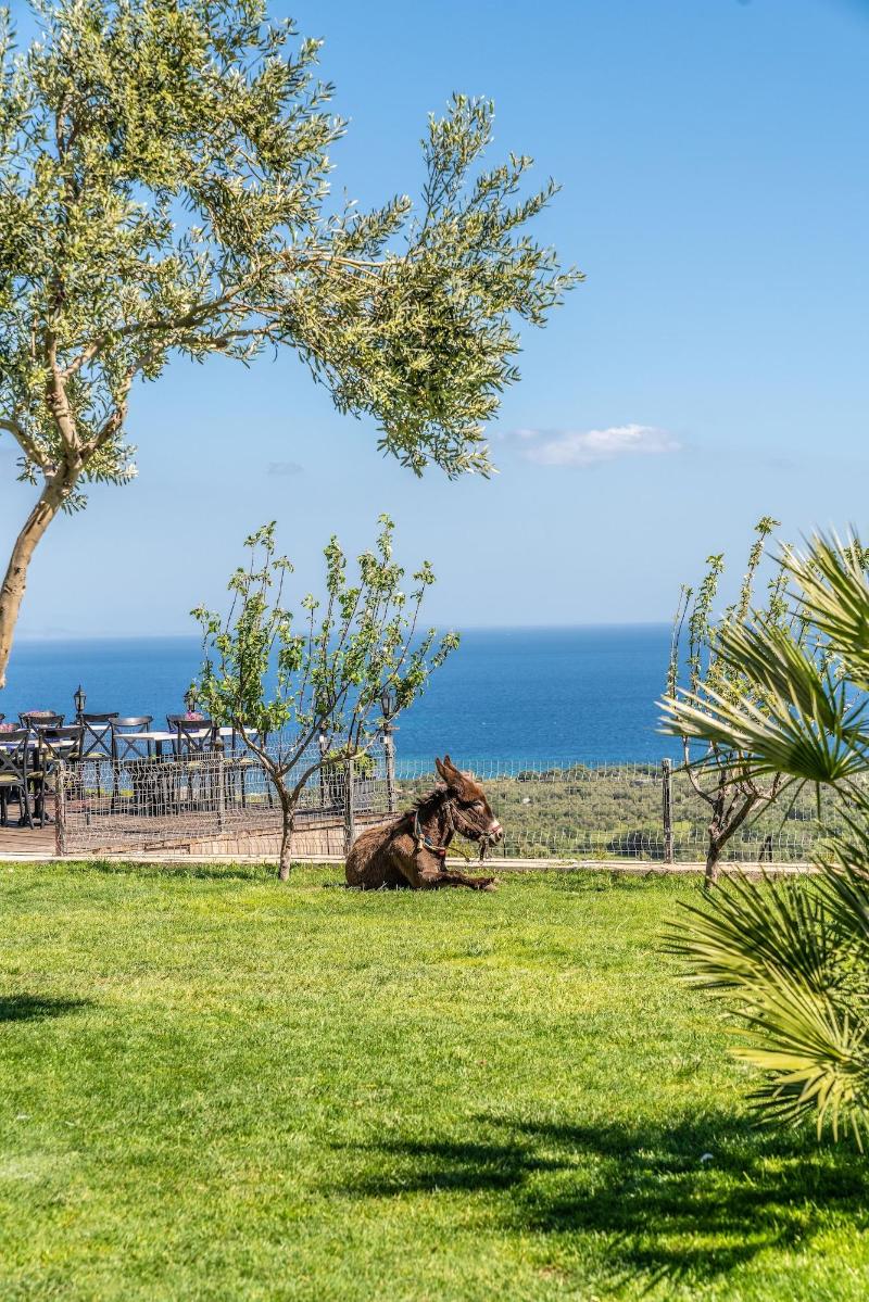 Assos Alis Farm Boutique Hotel & Spa image