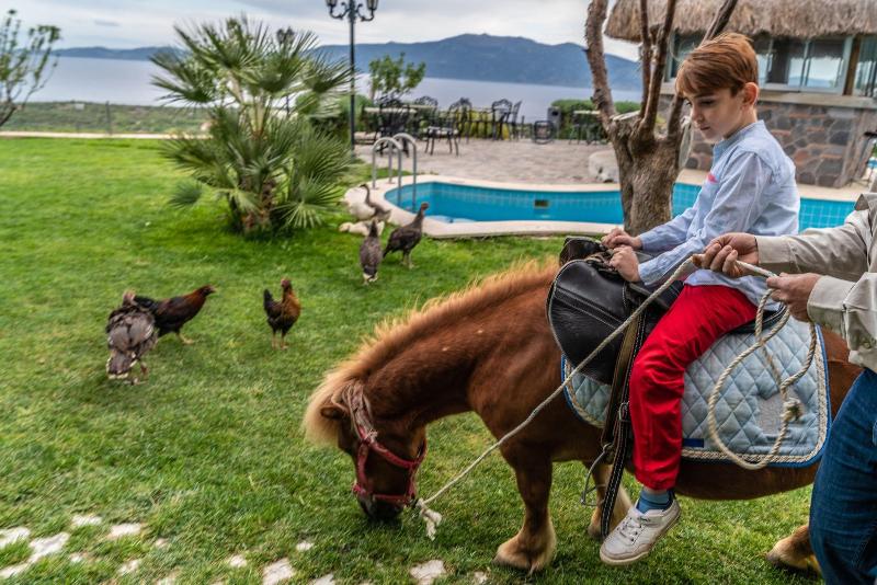 Assos Alis Farm Boutique Hotel & Spa image