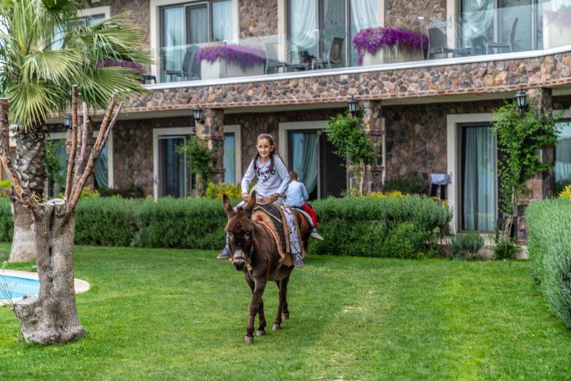 Assos Alis Farm Boutique Hotel & Spa image