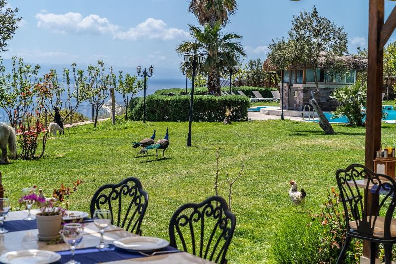 Assos Alis Farm Boutique Hotel & Spa image