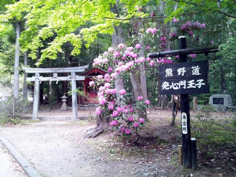 Watarase Onsen Hotel Sasayuri image