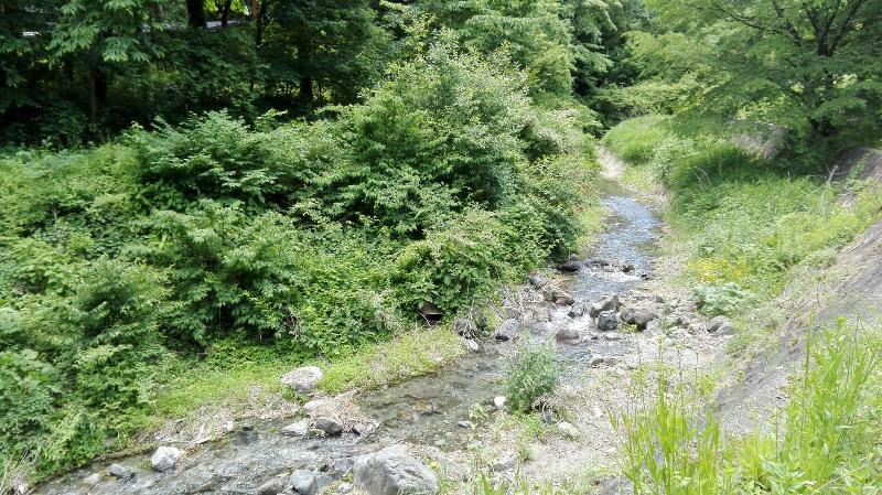 Pension Ookinaki — photo 3