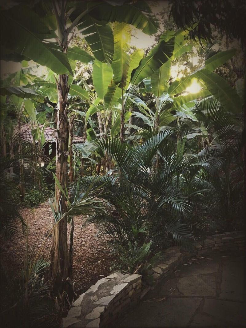 Pousada Rancho Do Ralf