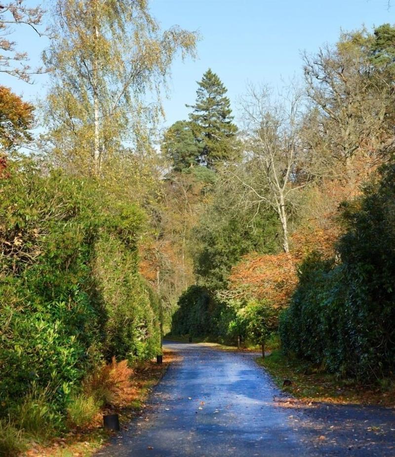 Finnich Cottages image