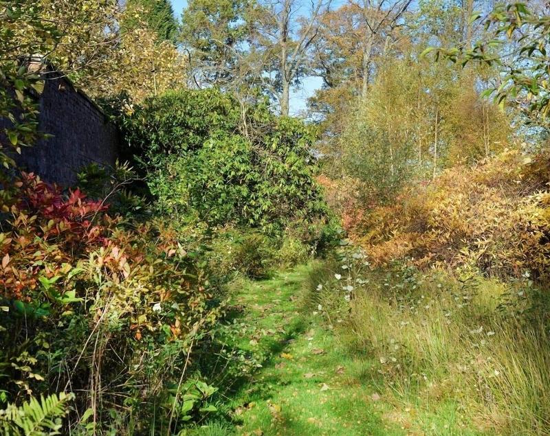Finnich Cottages image