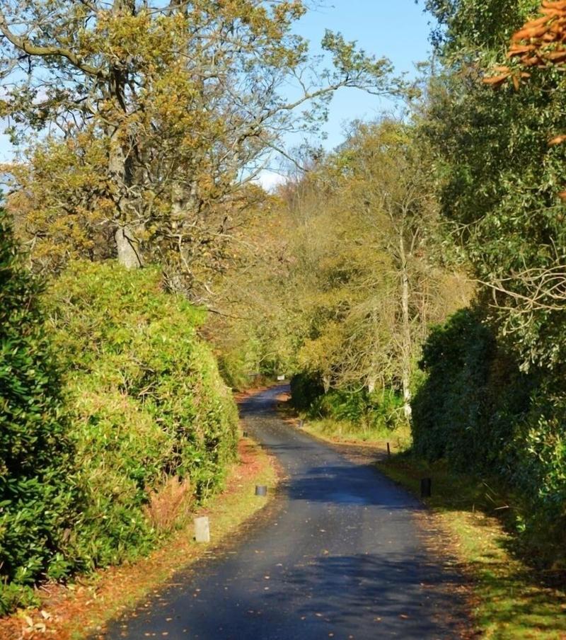 Finnich Cottages image