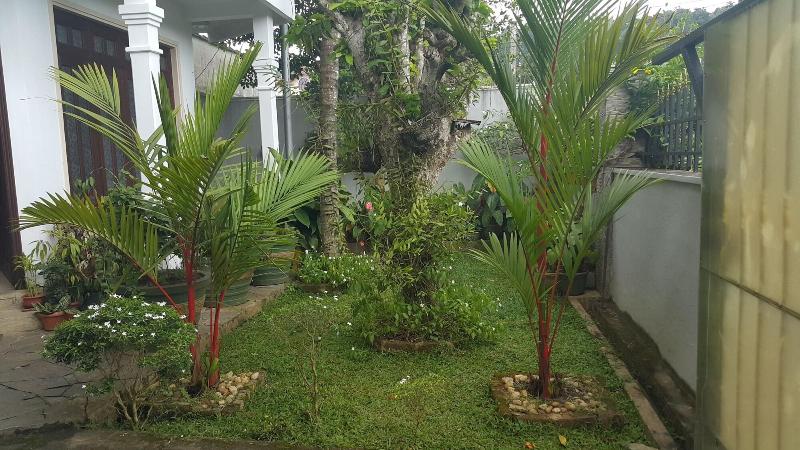 Resident View Homestay image