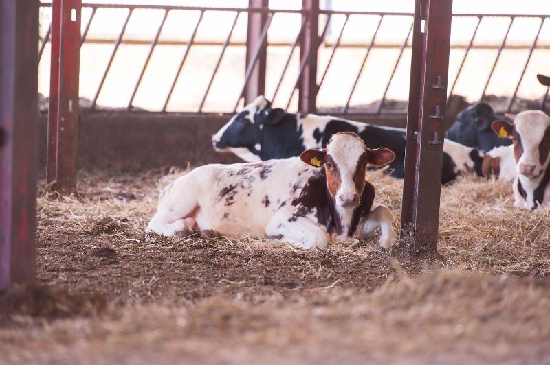 Huntlands Farm image