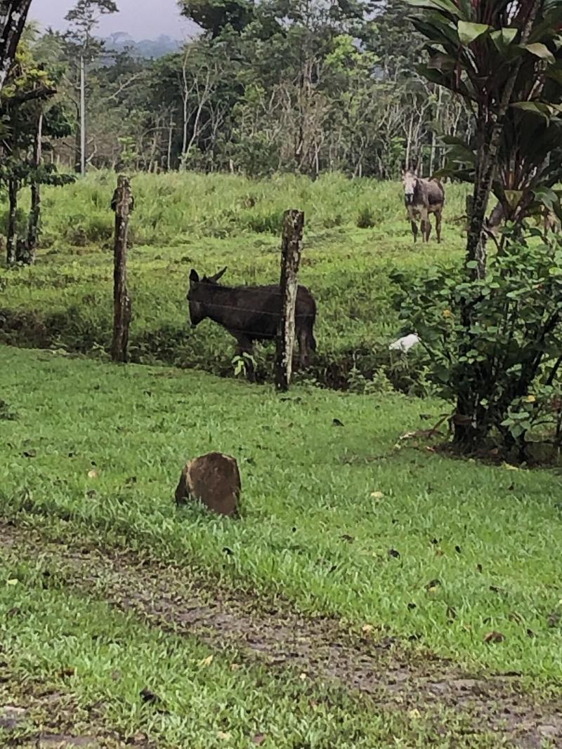 Malekus Mountain Lodge image