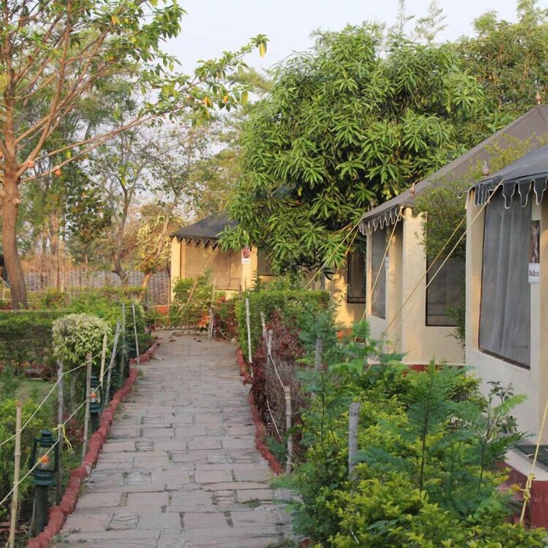 Camp Serai Tiger Tadoba