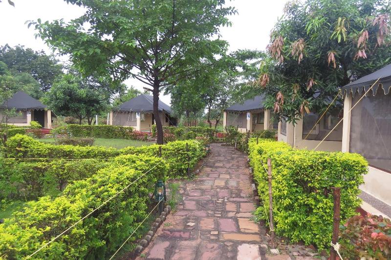 Camp Serai Tiger Tadoba