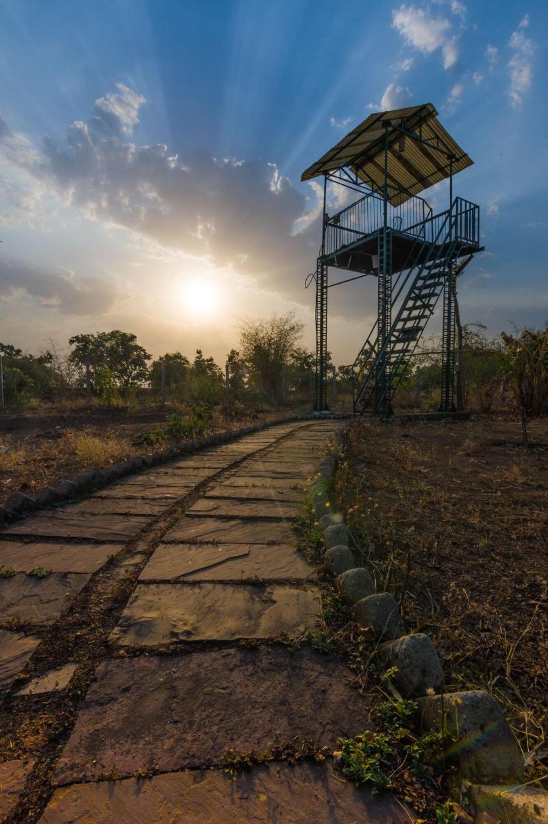 Camp Serai Tiger Tadoba