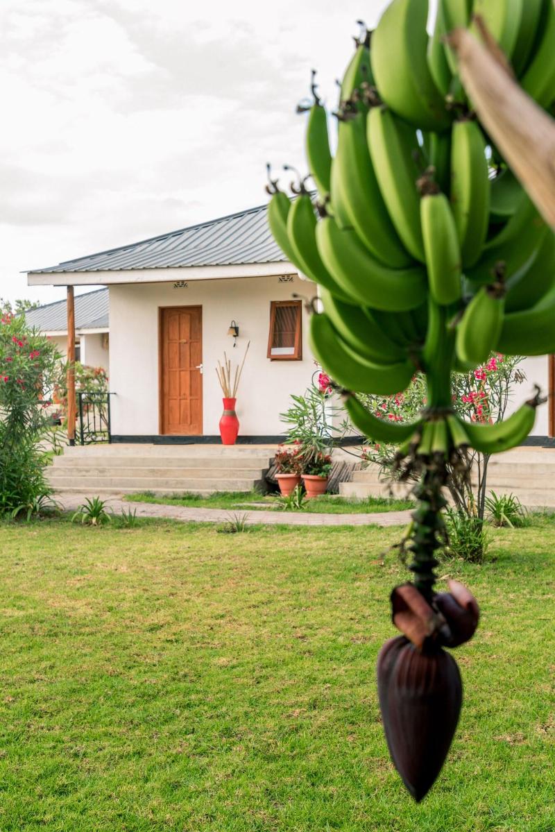 Moyoni Airport Lodge image