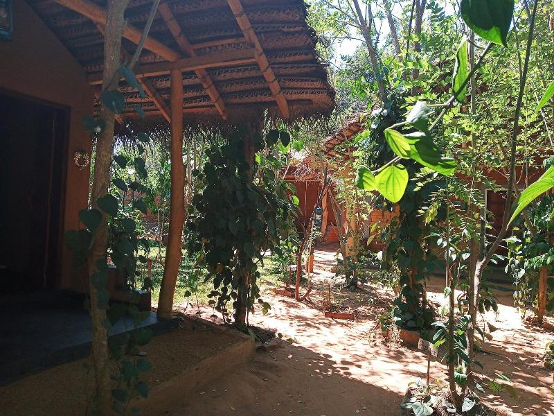 Sandalwood Cottage gallery photo 24