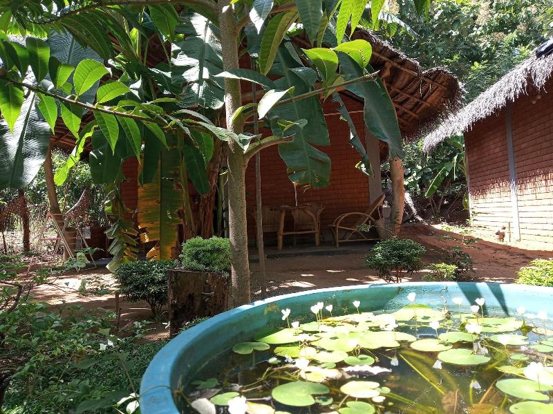 Sandalwood Cottage gallery photo 29