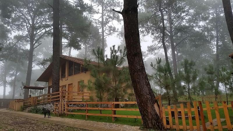Cabanas Los Abuelos — photo 3