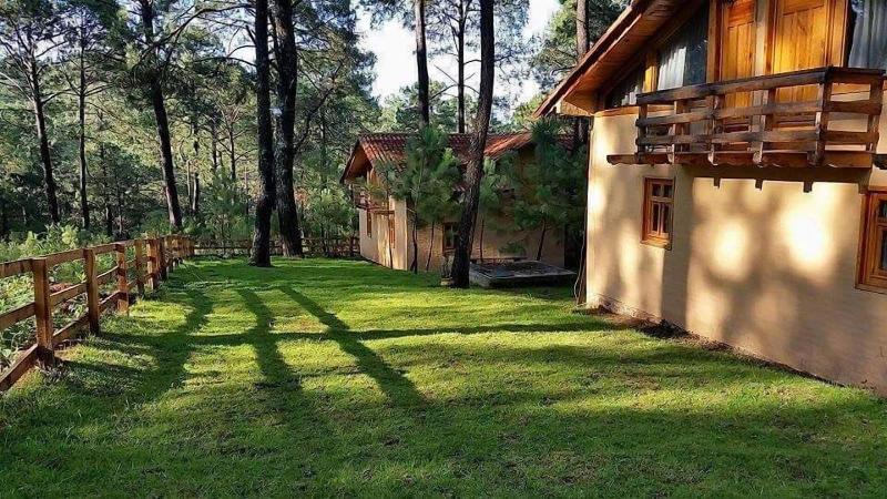 Cabanas Los Abuelos — photo 4