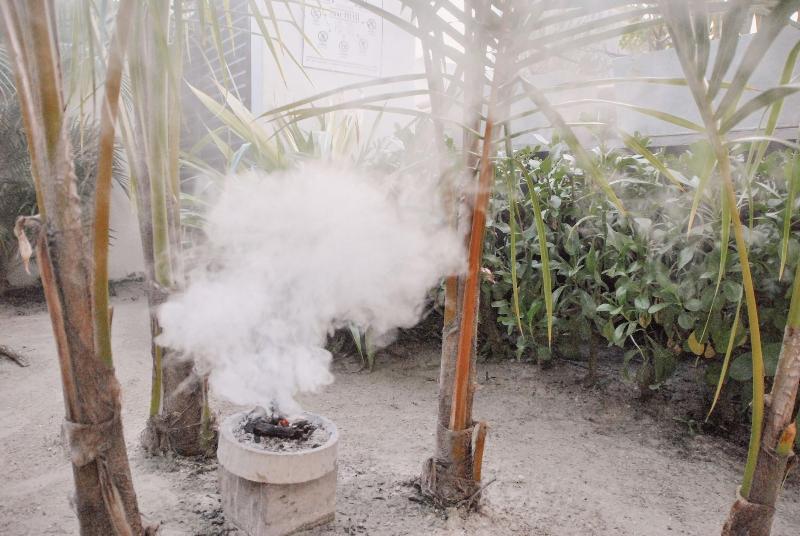 Hotel El Nido Holbox Adults Only