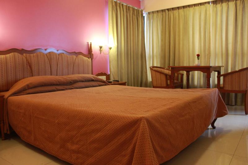 Hotel The Samrat image