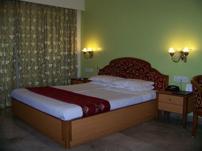 Hotel The Samrat image